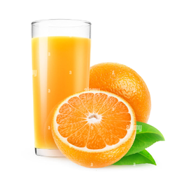 Freshly Squeezed Orange Juice